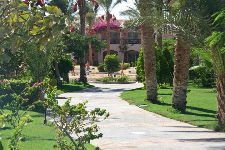 Vakantie Egypte 2010-23.jpg